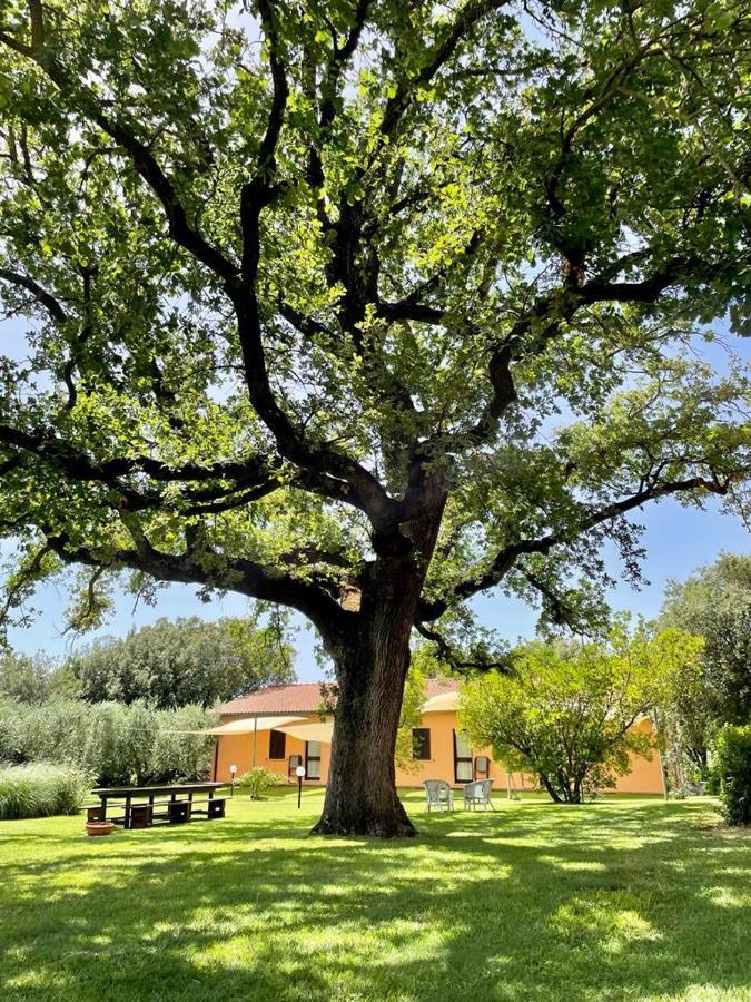 Agriturismo I Tre Fossi Magliano in Toscana Eksteriør bilde