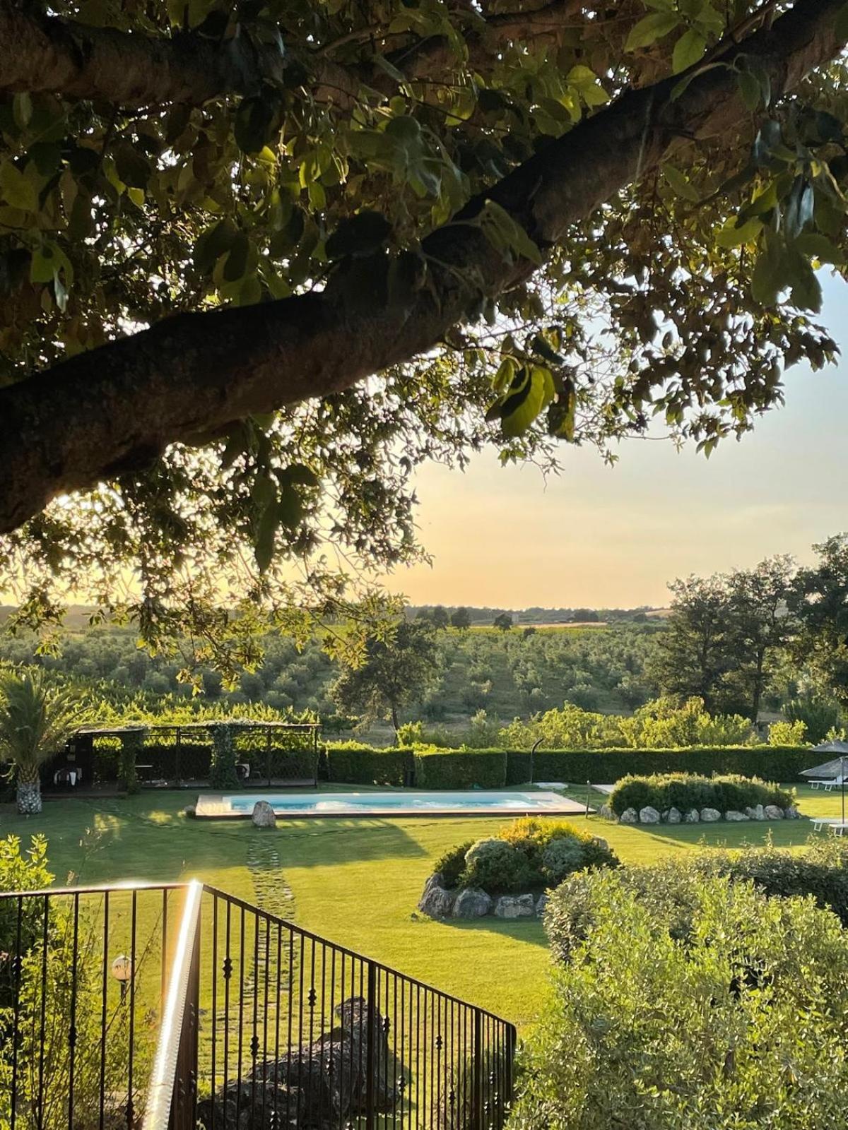 Agriturismo I Tre Fossi Magliano in Toscana Eksteriør bilde