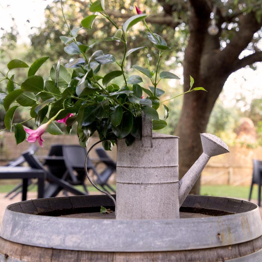 Agriturismo I Tre Fossi Magliano in Toscana Eksteriør bilde